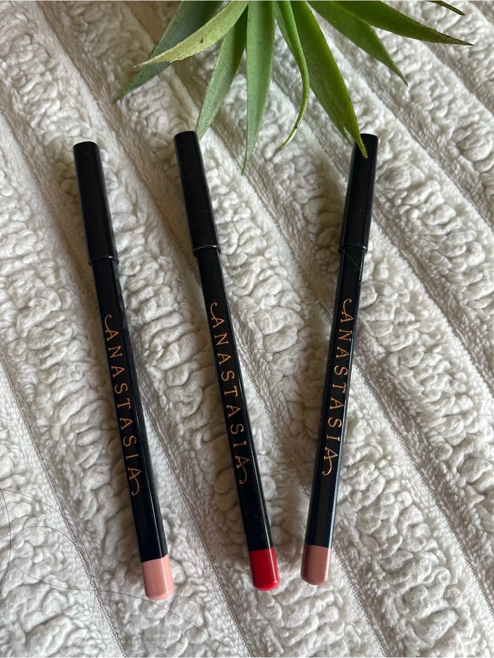 Anastasia Lip Liner Set in Cherry,Mocha,and Baby Roses.